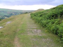 
Tramway between East and North Quarries, July 2010